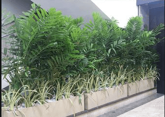 Modern Sculpture Garden